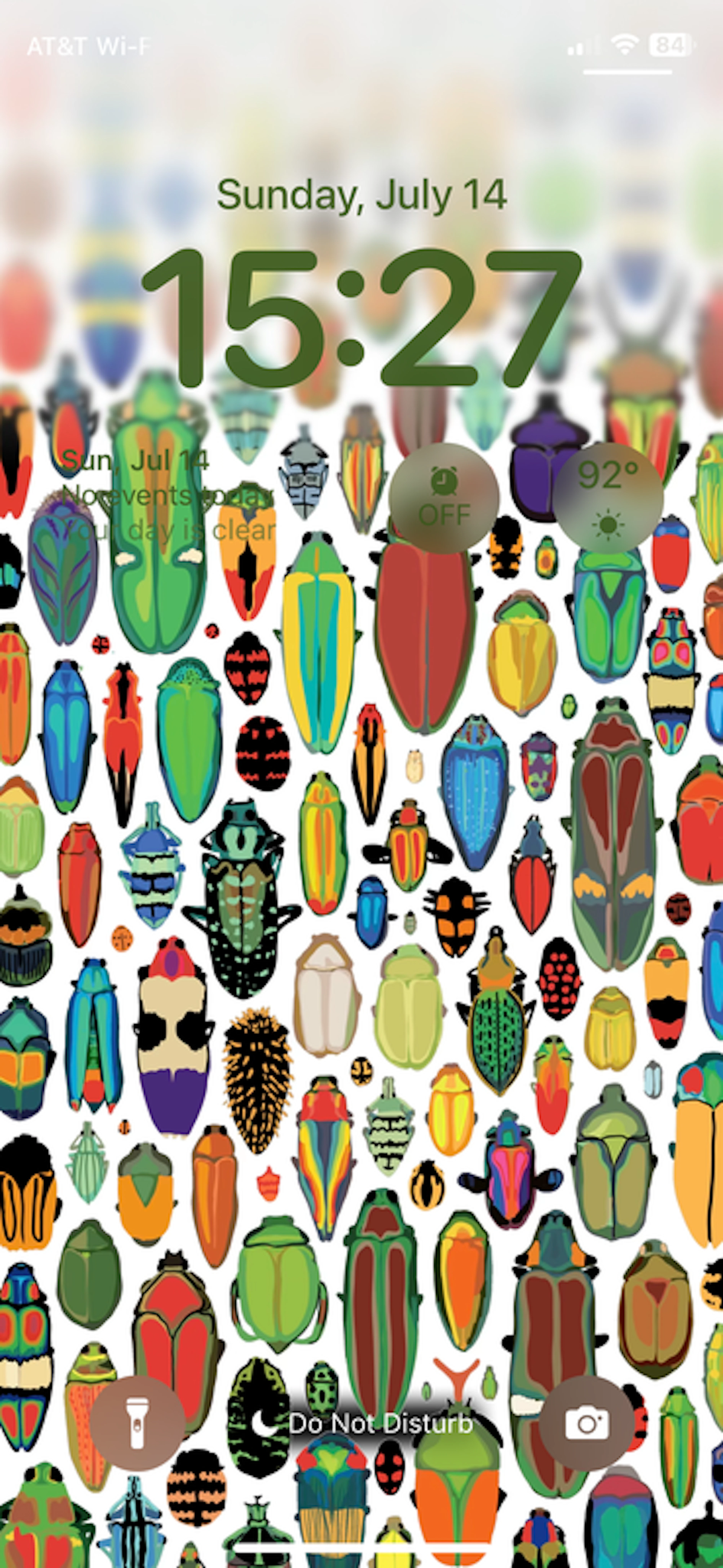 Inordinate Beetle Fondness Wallpaper