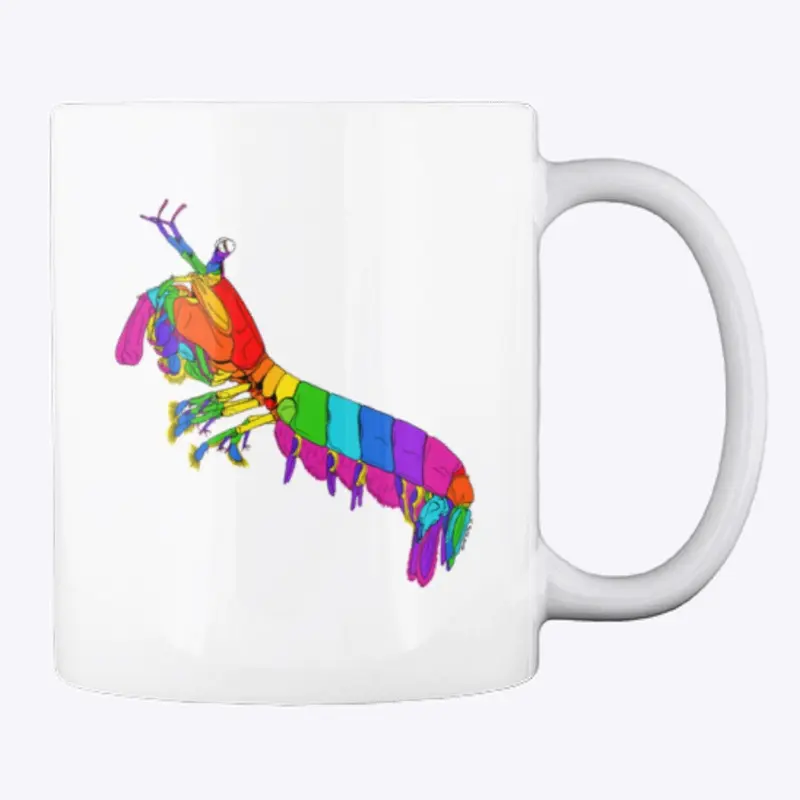 Rainbow Mantis Shrimp