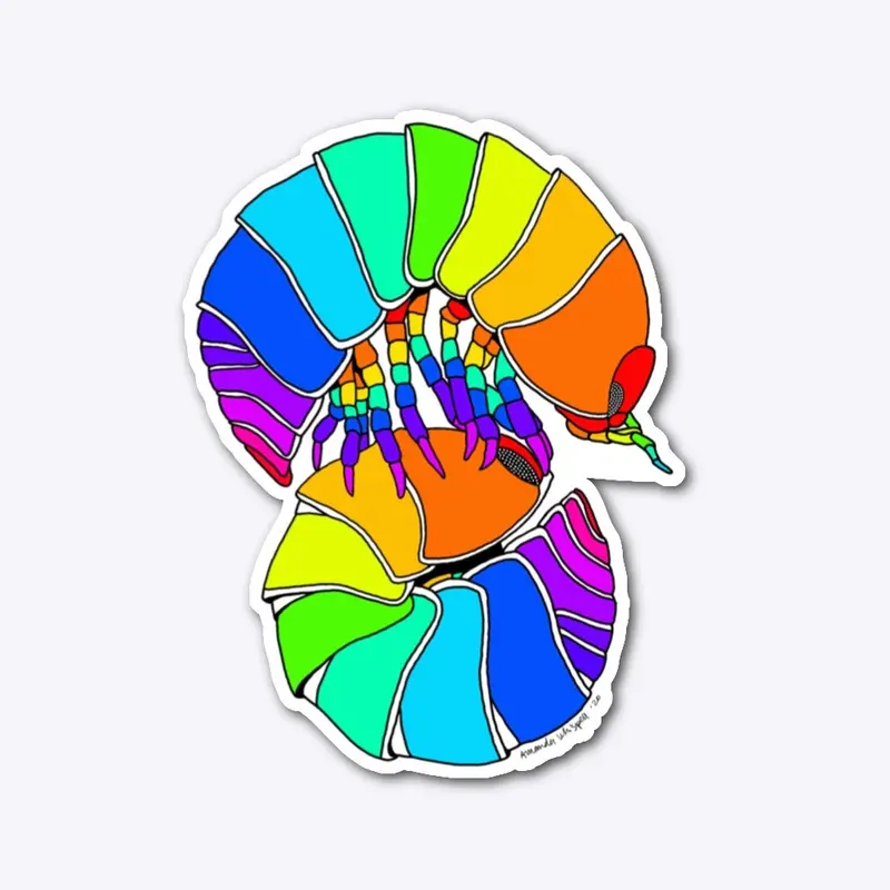 Rainbow Roly Poly