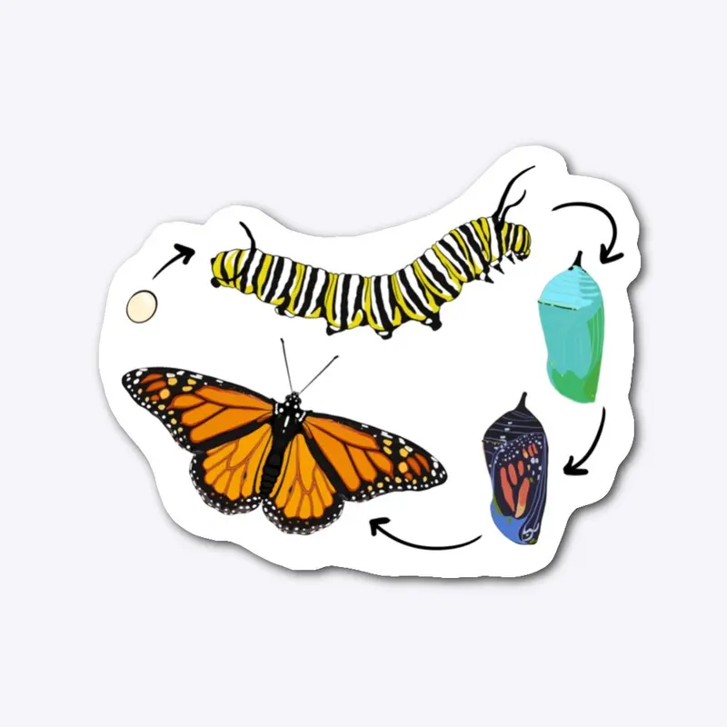 Monarch Butterfly Lifecycle