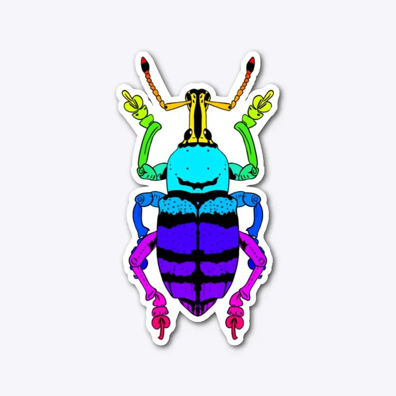 Rainbow Weevil 