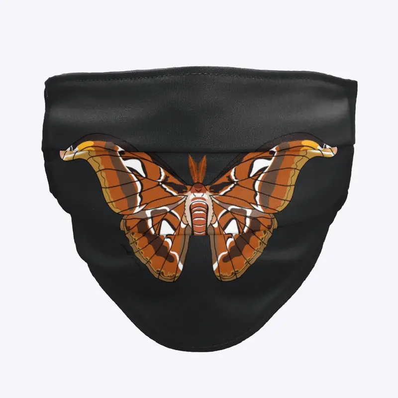 Atlas Moth Mask