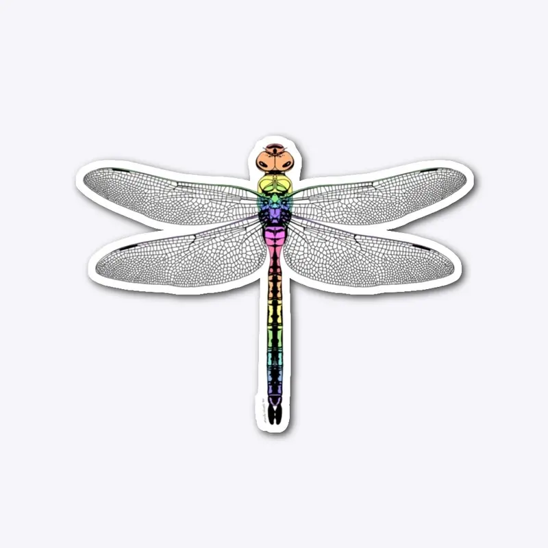 Pastel Dragonfly Illustration