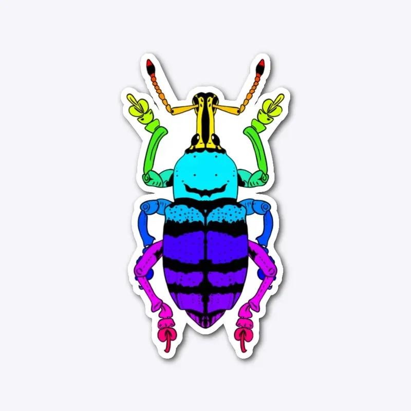 Rainbow Weevil 